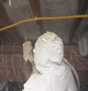  IN crawl space insulation